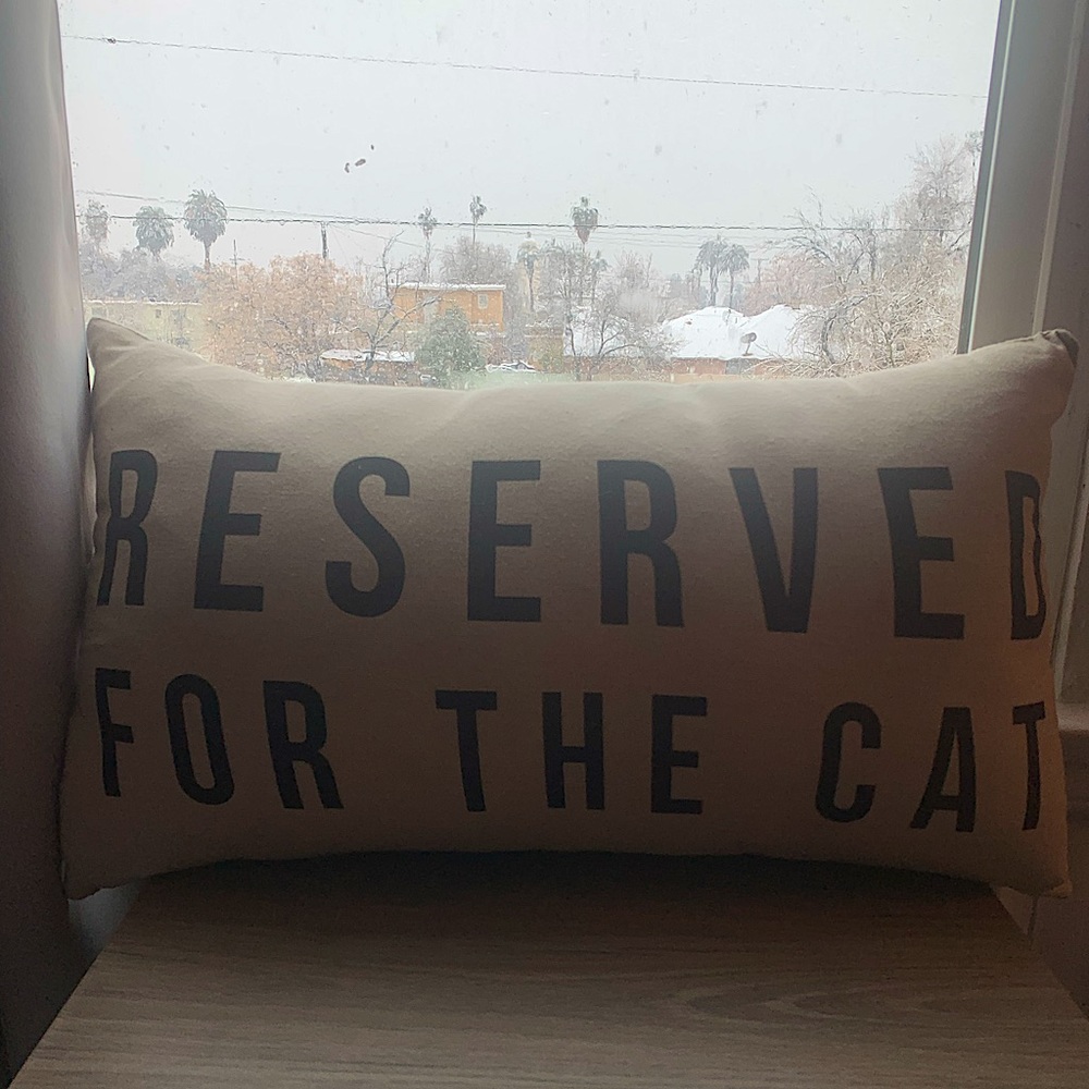 Reserved for the Cat pillow